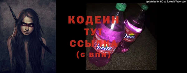 ГАЛЛЮЦИНОГЕННЫЕ ГРИБЫ Пересвет