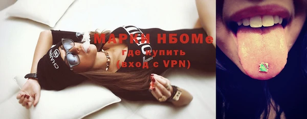 индика Михайлов
