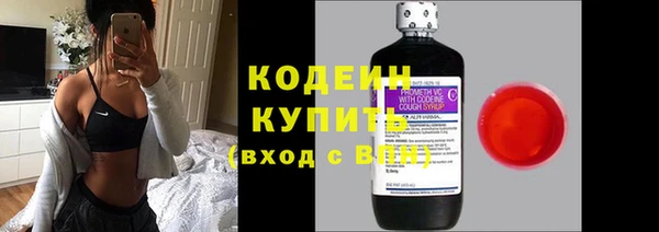 шишки Михайловск