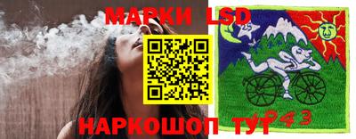 винт Донской