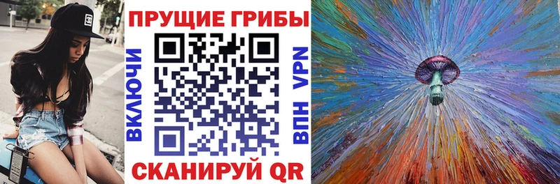 закладка  Нижний Тагил  Псилоцибиновые грибы MAGIC MUSHROOMS 