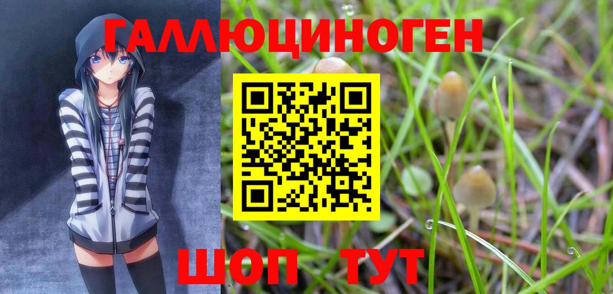 Псилоцибиновые грибы MAGIC MUSHROOMS  Вход с VPN  Нижний Тагил  Псилоцибиновые грибы Psilocybine cubensis 